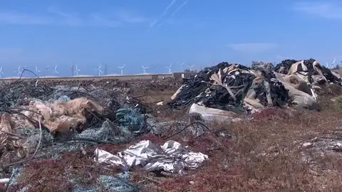 Imagen de un vertedero Gran Canaria desarrollará un plan de empleo para limpiar los antiguos invernaderos, ahora vertederos