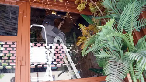 Restaurante Burro en Bilbao Restaurante Burro en Bilbao