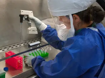 Suben en España las infecciones de transmisión sexual Suben en España las infecciones de transmisión sexual