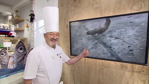 Karlos Arguiñano desvela la evolución de su pavo real en un vídeo casero Karlos Arguiñano desvela la evolución de su pavo real en un vídeo casero