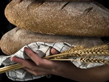 Gluten Gluten