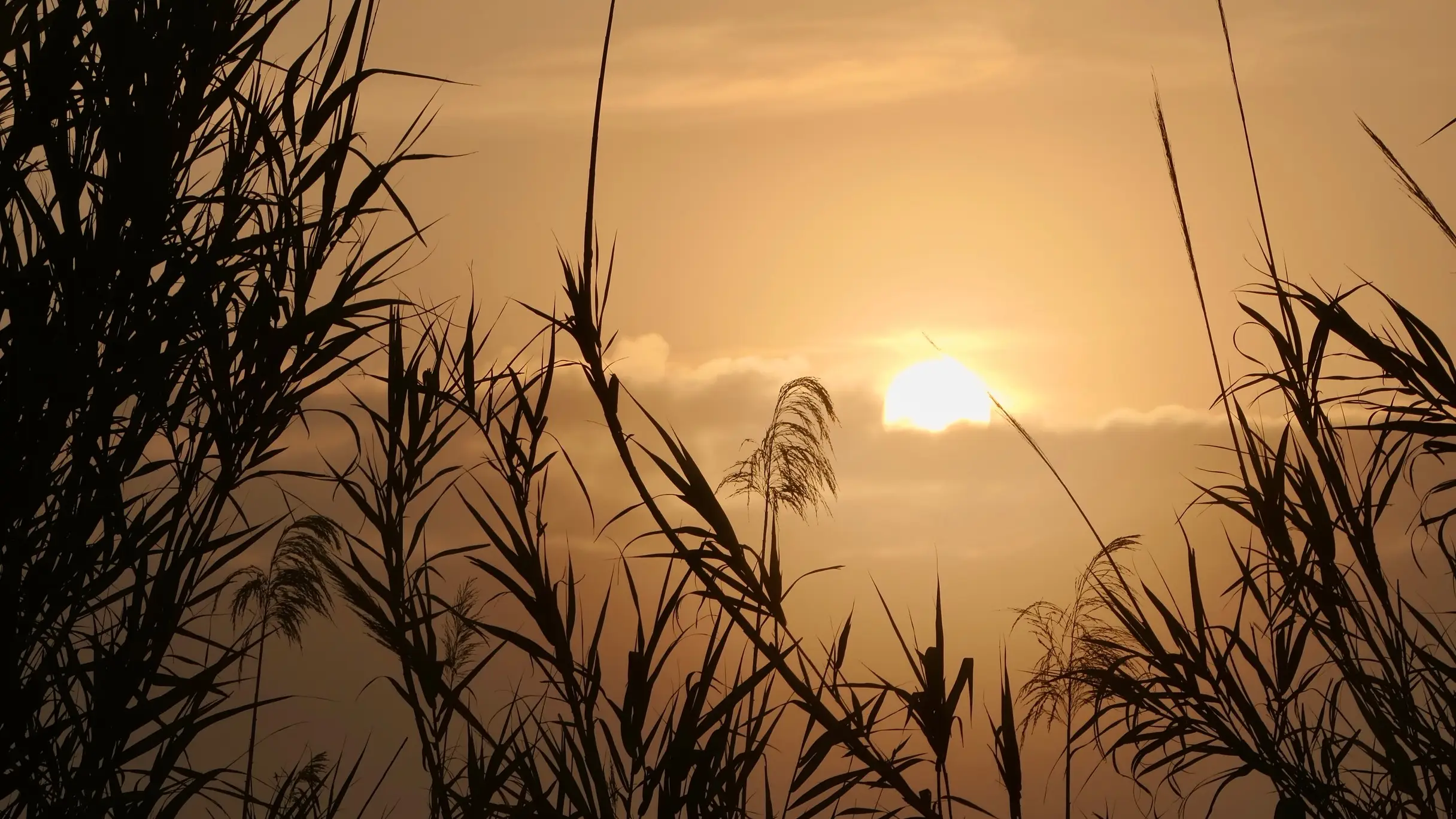 El cambio clim&aacute;tico responsable del calor extremo en abril