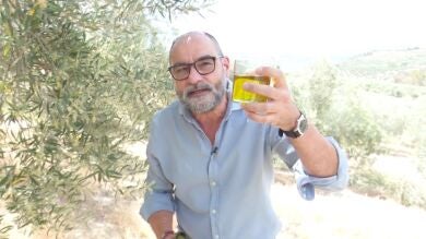 Mitad oro líquido, mitad otra cosa, así nos venden el aceite de oliva mezclado con girasol