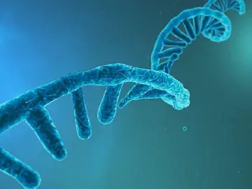Más cerca de conocer el origen de la vida en la Tierra Más cerca de conocer el origen de la vida en la Tierra