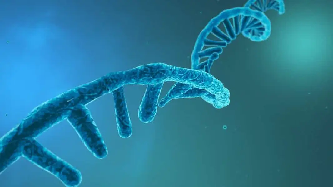  M&aacute;s cerca de conocer el origen de la vida en la Tierra