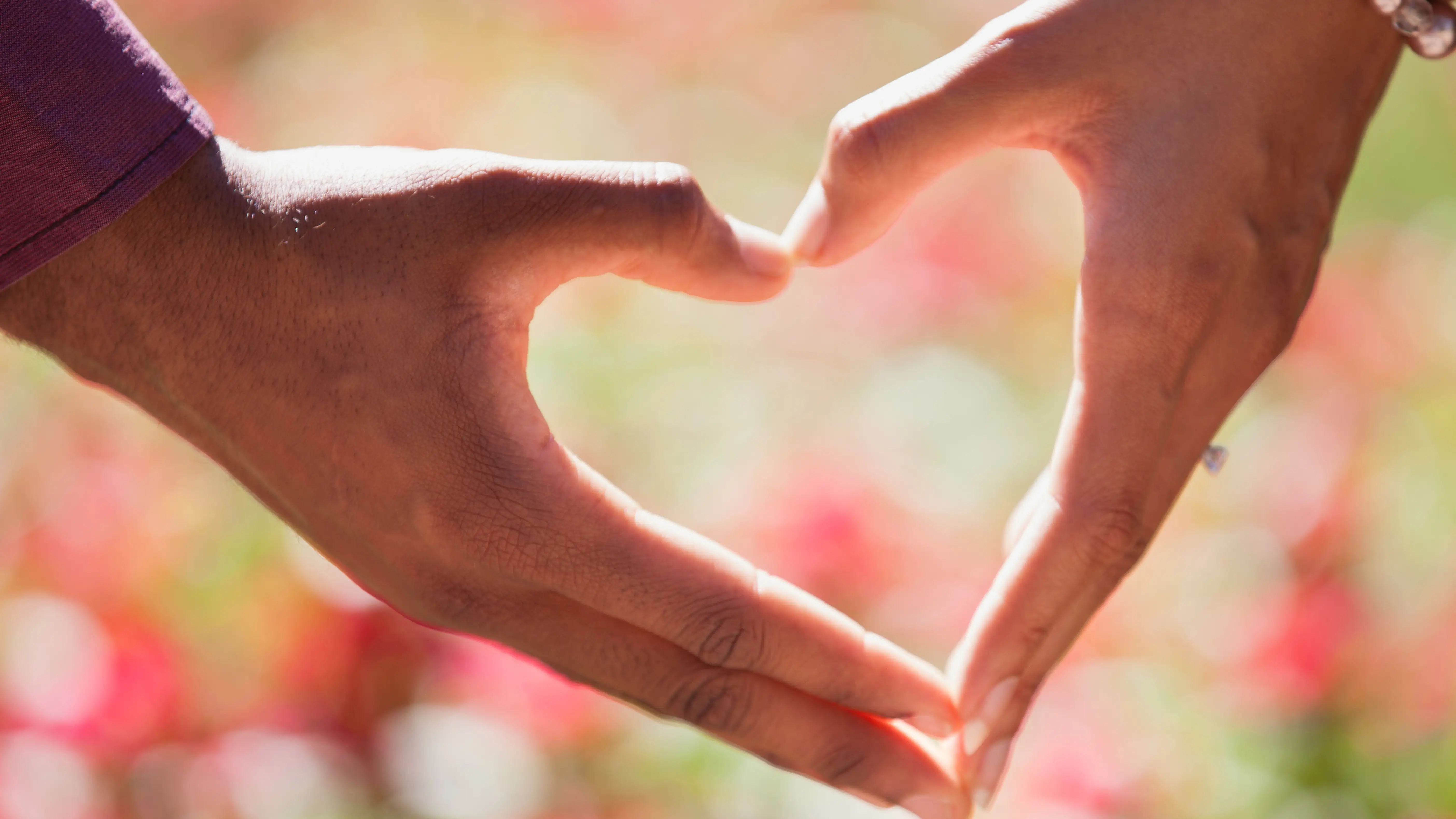 Imagen de un coraz&oacute;n formado por dos manos