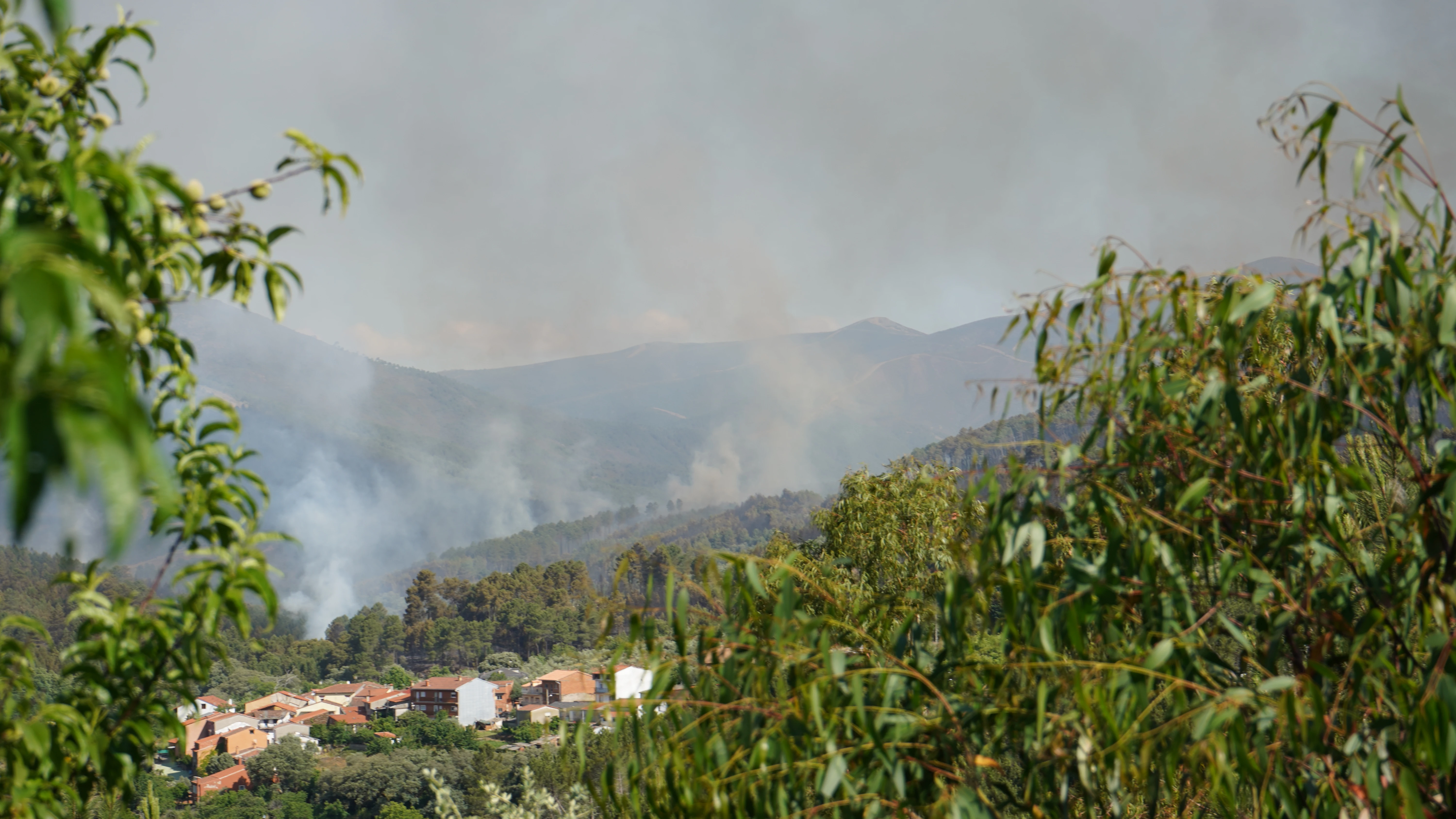 Incendio en Pinofranqueado Incendio en Pinofranqueado