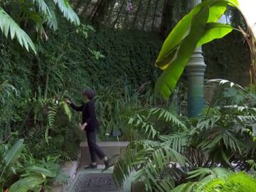 El Jardín Botánico de Madrid: uno de los museos vivo más importantes de la comunidad