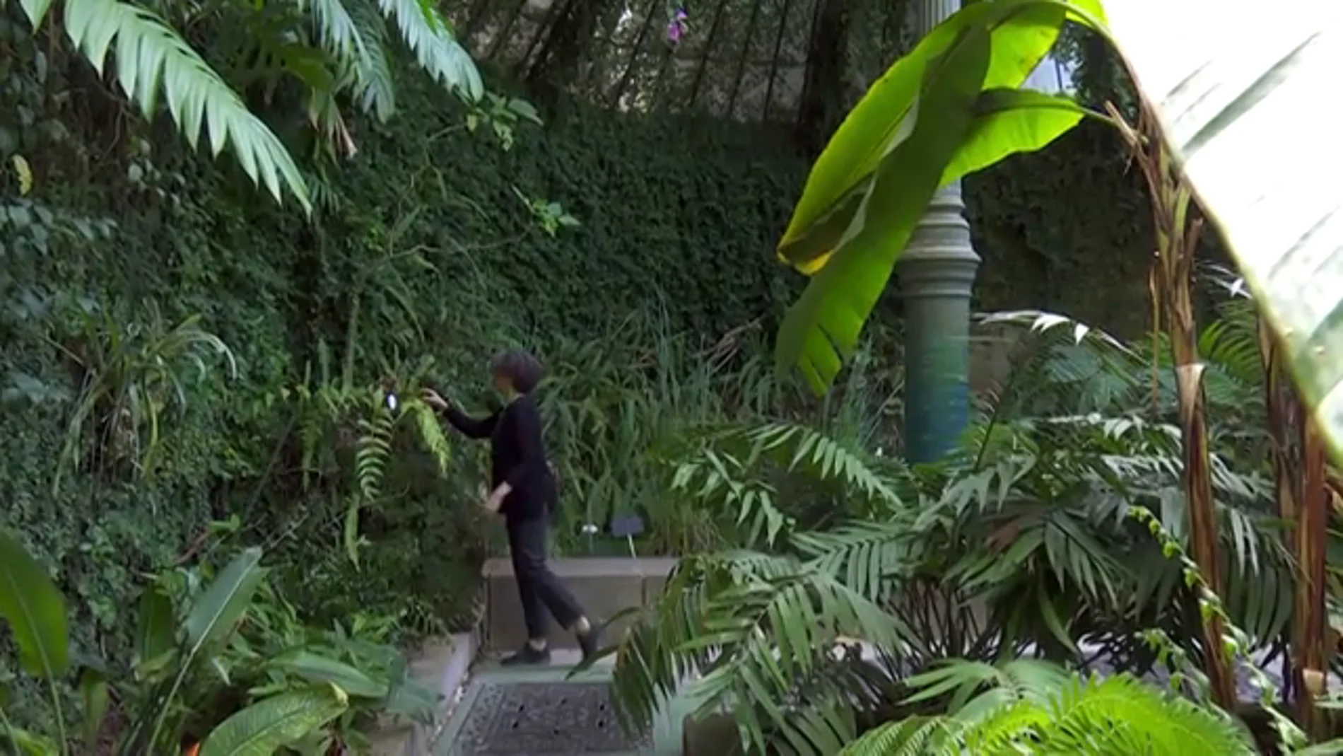 El Jardín Botánico de Madrid: uno de los museos vivo más importantes de la comunidad