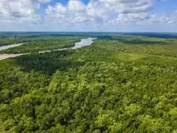 Víveres... y chuches para los cuatro menores desaparecidos en la selva de Colombia Víveres... y chuches para los cuatro menores desaparecidos en la selva de Colombia