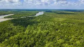 Víveres... y chuches para los cuatro menores desaparecidos en la selva de Colombia Víveres... y chuches para los cuatro menores desaparecidos en la selva de Colombia