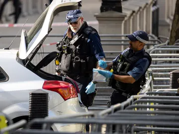 Los agentes aseguran la zona donde se ha producido el incidente en Downing Street Los agentes aseguran la zona donde se ha producido el incidente en Downing Street