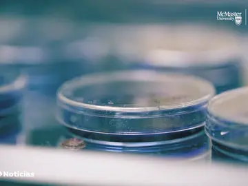 El nuevo descubrimiento que acabará con una 'superbacteria' El nuevo descubrimiento que acabará con una 'superbacteria'