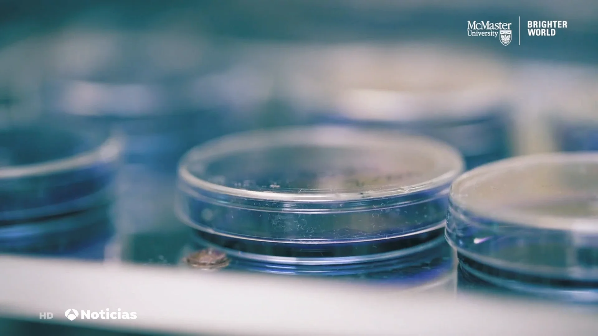 El nuevo descubrimiento que acabar&aacute; con una 'superbacteria'
