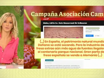 Las fresas de la sequía. Las fresas de la sequía.