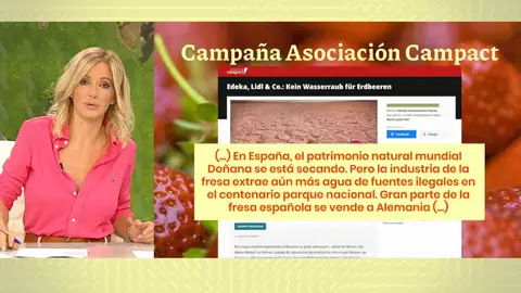 Las fresas de la sequía. Las fresas de la sequía.