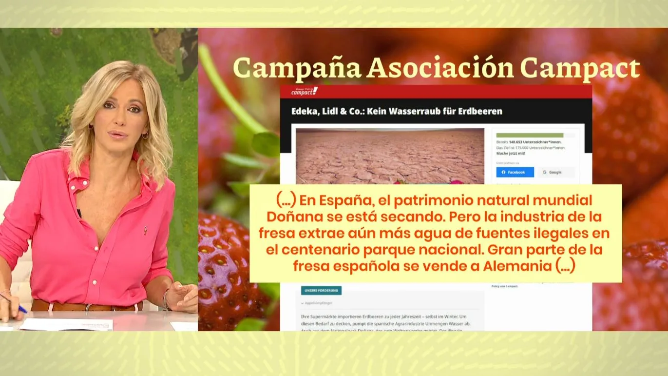 Las fresas de la sequía. Las fresas de la sequía.