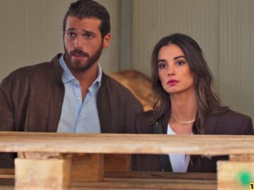 &lsquo;Violeta como el mar&rsquo;, muy pronto en Antena 3