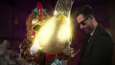 Nuevas pistas de Gallo Nuevas pistas de Gallo