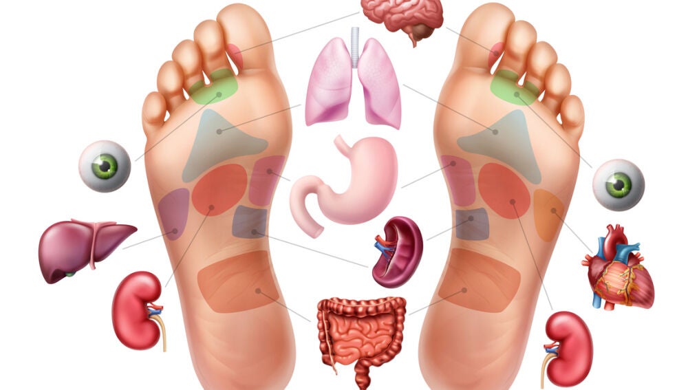 Mapa de la online planta del pie reflexologia