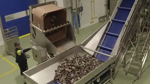 Atunlo fabricará 360 toneladas de aceite refinado a partir de cabezas de atún Atunlo fabricará 360 toneladas de aceite refinado a partir de cabezas de atún
