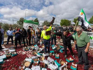 Productores de cereza se concentran en protesta por las condiciones y las coberturas del seguro de este producto Productores de cereza se concentran en protesta por las condiciones y las coberturas del seguro de este producto