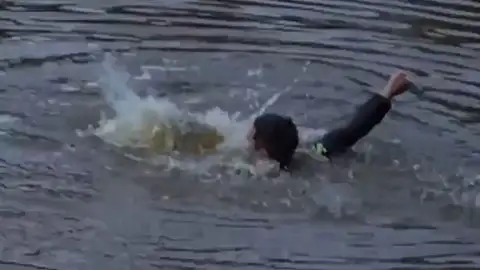 Rescate caimán Toledo Rescate caimán Toledo