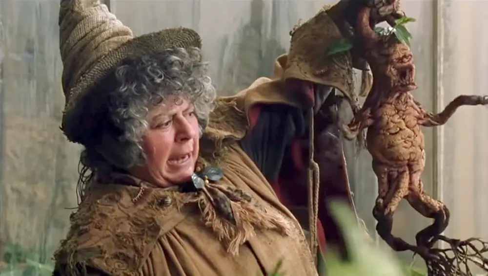Miriam Margolyes como la profesora Pomona Sprout en 'Harry Potter'