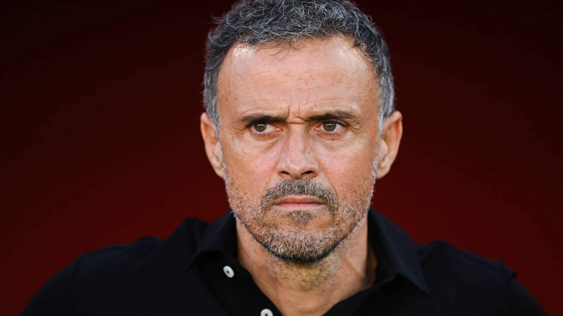 Luis Enrique dirigiendo un partido de la Selección Española Luis Enrique dirigiendo un partido de la Selección Española