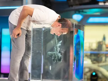 Dragón acuático Dragón acuático