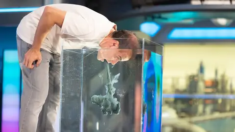 Dragón acuático Dragón acuático