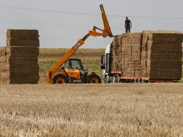 Trabajador campo Trabajador campo