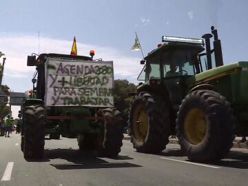 Agricultores y ganaderos se desplazan en tractores hasta Madrid para protestar contra el Ejecutivo