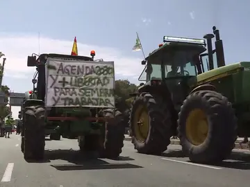 Agricultores y ganaderos se desplazan en tractores hasta Madrid para protestar contra el Ejecutivo Agricultores y ganaderos se desplazan en tractores hasta Madrid para protestar contra el Ejecutivo