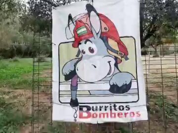Los burros bombero del Parque Natural de Doñana