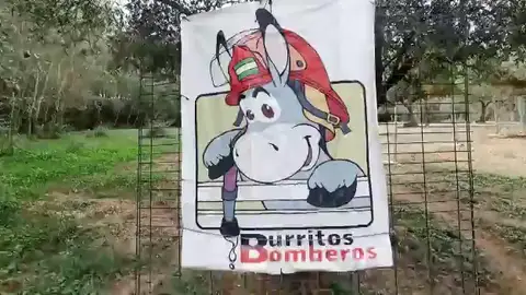 Los burros bombero del Parque Natural de Doñana