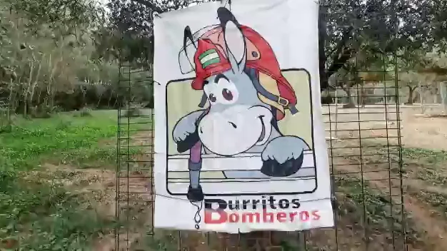 Los burros bombero del Parque Natural de Do&ntilde;ana