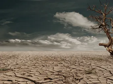 Efectos del cambio climático Efectos del cambio climático