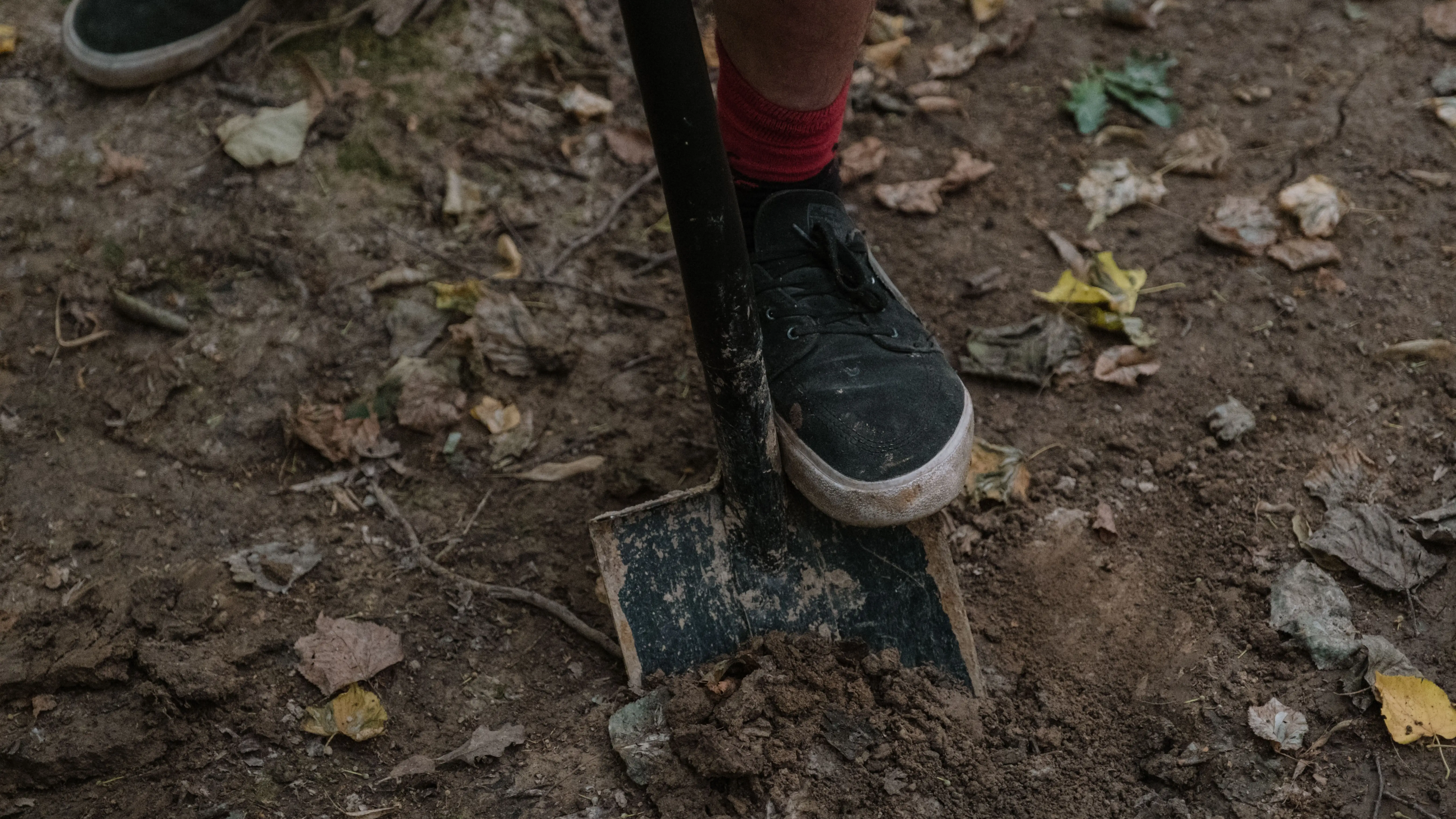 Imagen de recurso de una persona excavando en un jard&iacute;n