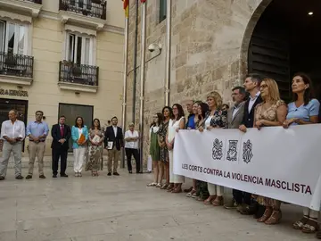 Vox se aparta de la pancarta contra la violencia machista en Valencia Vox se aparta de la pancarta contra la violencia machista en Valencia