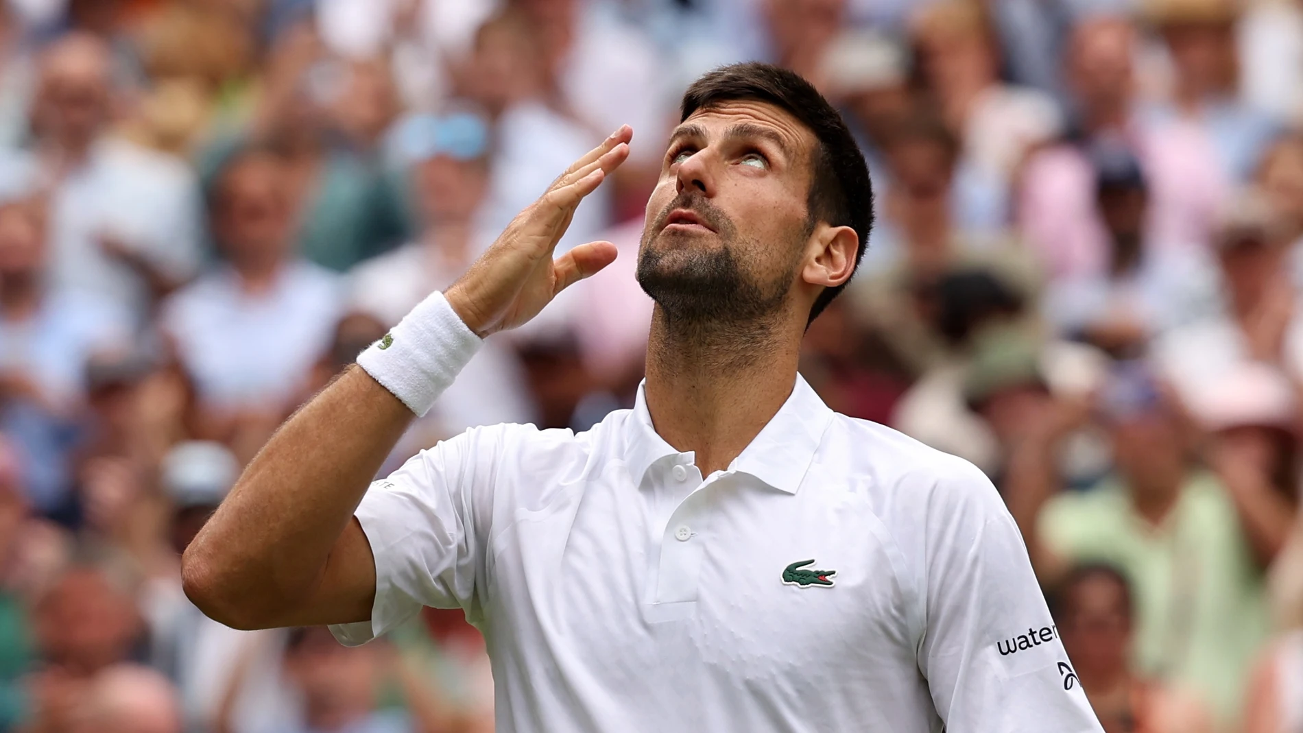 Djokovic celebra su pase a cuartos de final contra Hubert Hurcacz Djokovic celebra su pase a cuartos de final contra Hubert Hurcacz