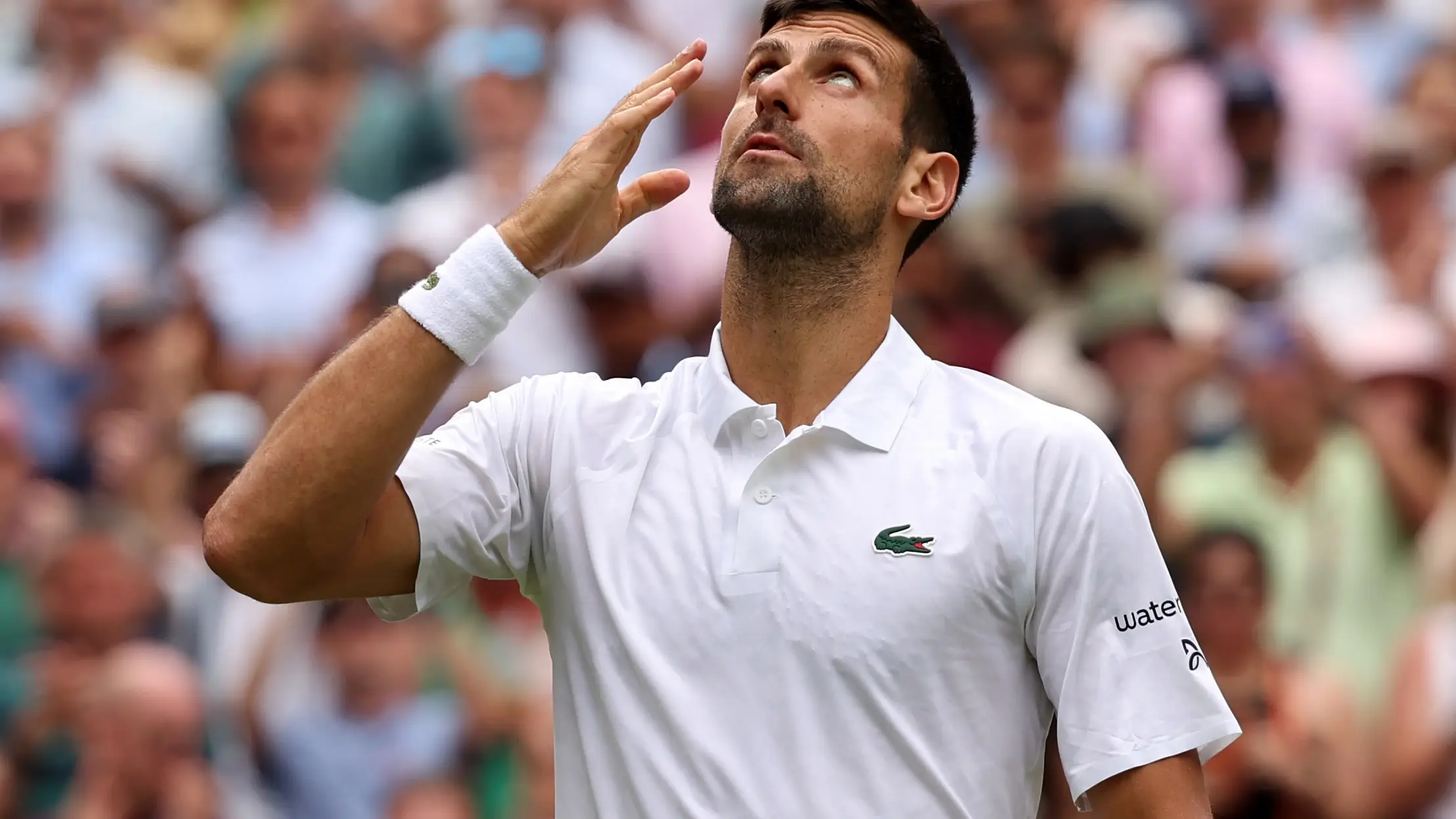 Djokovic celebra su pase a cuartos de final contra Hubert Hurcacz