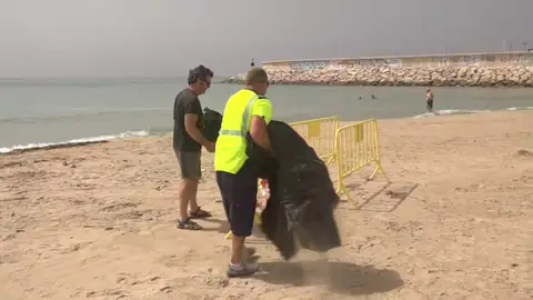 Playa en la que apareció el niño Playa en la que apareció el niño