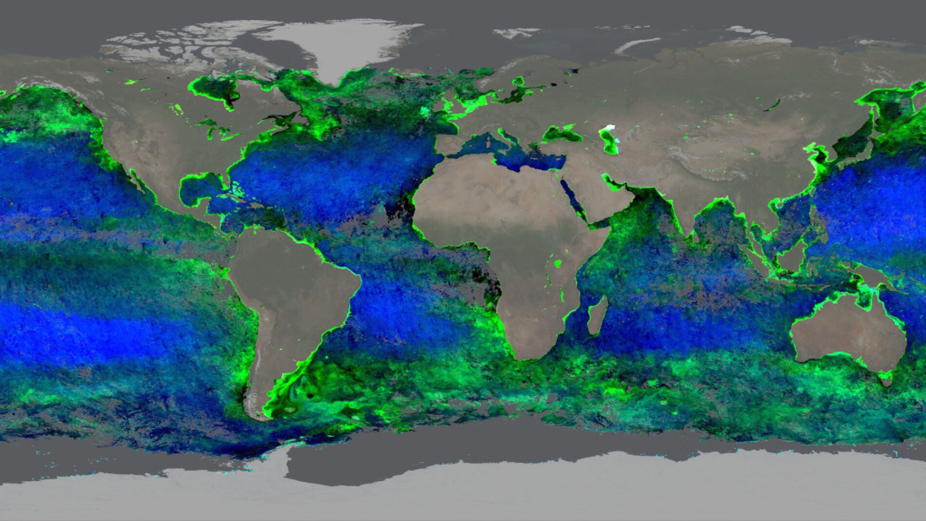 El cambio climático cambia el color de los océanos: 