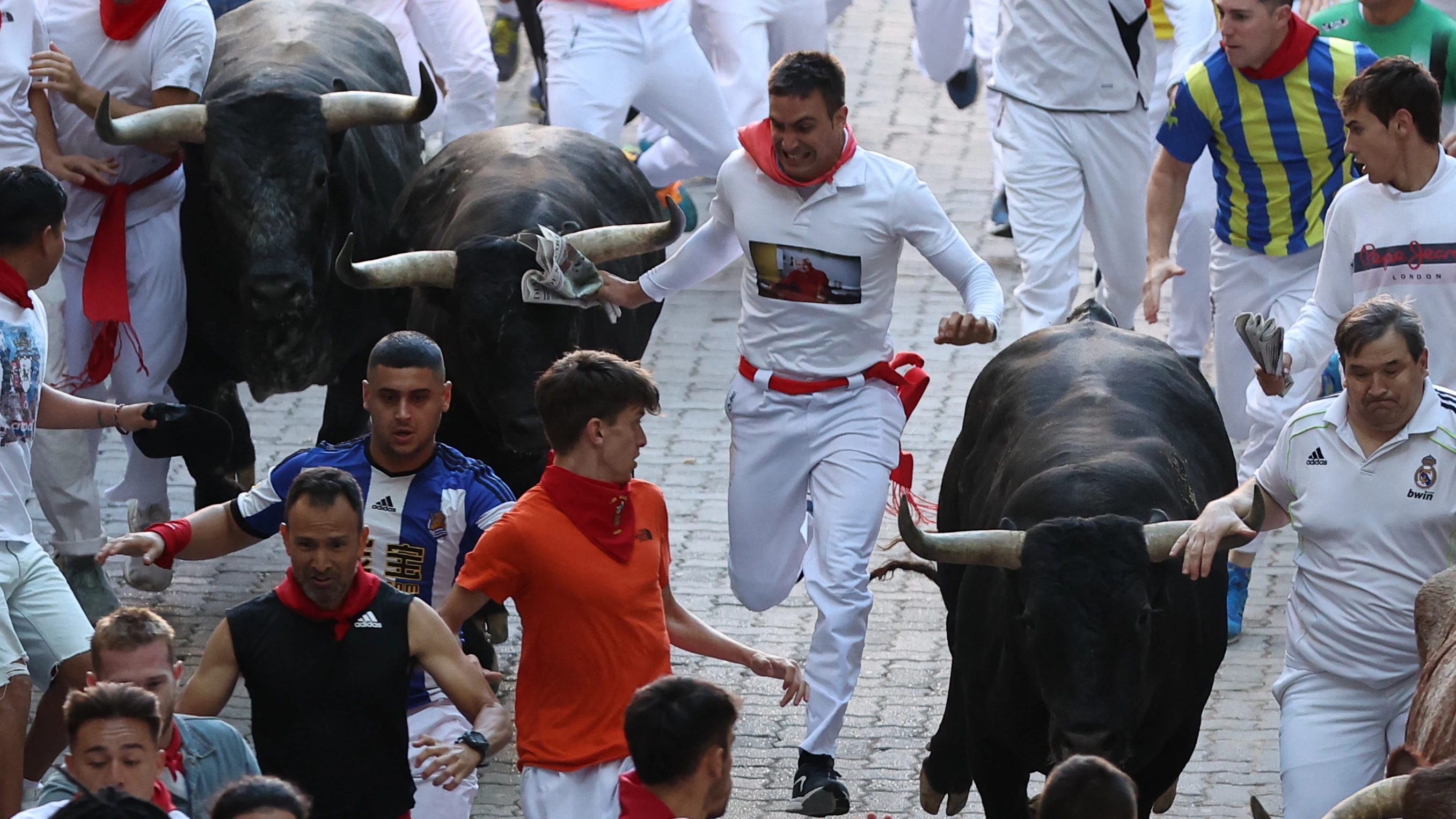 Los toros de la ganadería de Miura en el octavo encierro Los toros de la ganadería de Miura en el octavo encierro
