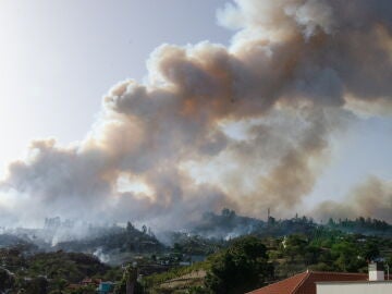 Un helicóptero lanza agua sobre las llamas del incendio forestal que comenzó esta madrugada en el municipio palmero de Puntagorda, y que ha obligado a varias viviendas y ha llevado a la evacuación de 32 vecinos de las proximidades. 