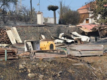 Imagen de los daños provocados por el incendio de La Palma en el municipio de Puntagorda. 