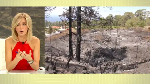 Incendio en La Palma. Incendio en La Palma.