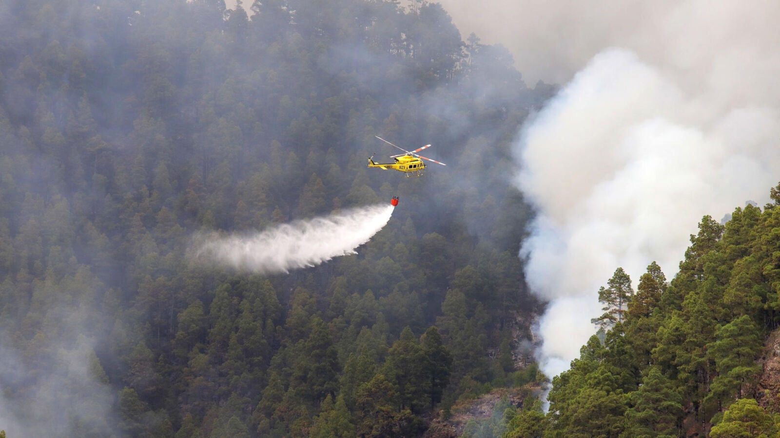 El incendio de La Palma, estabilizado después de arrasar 2.900 hectáreas durante 5 días