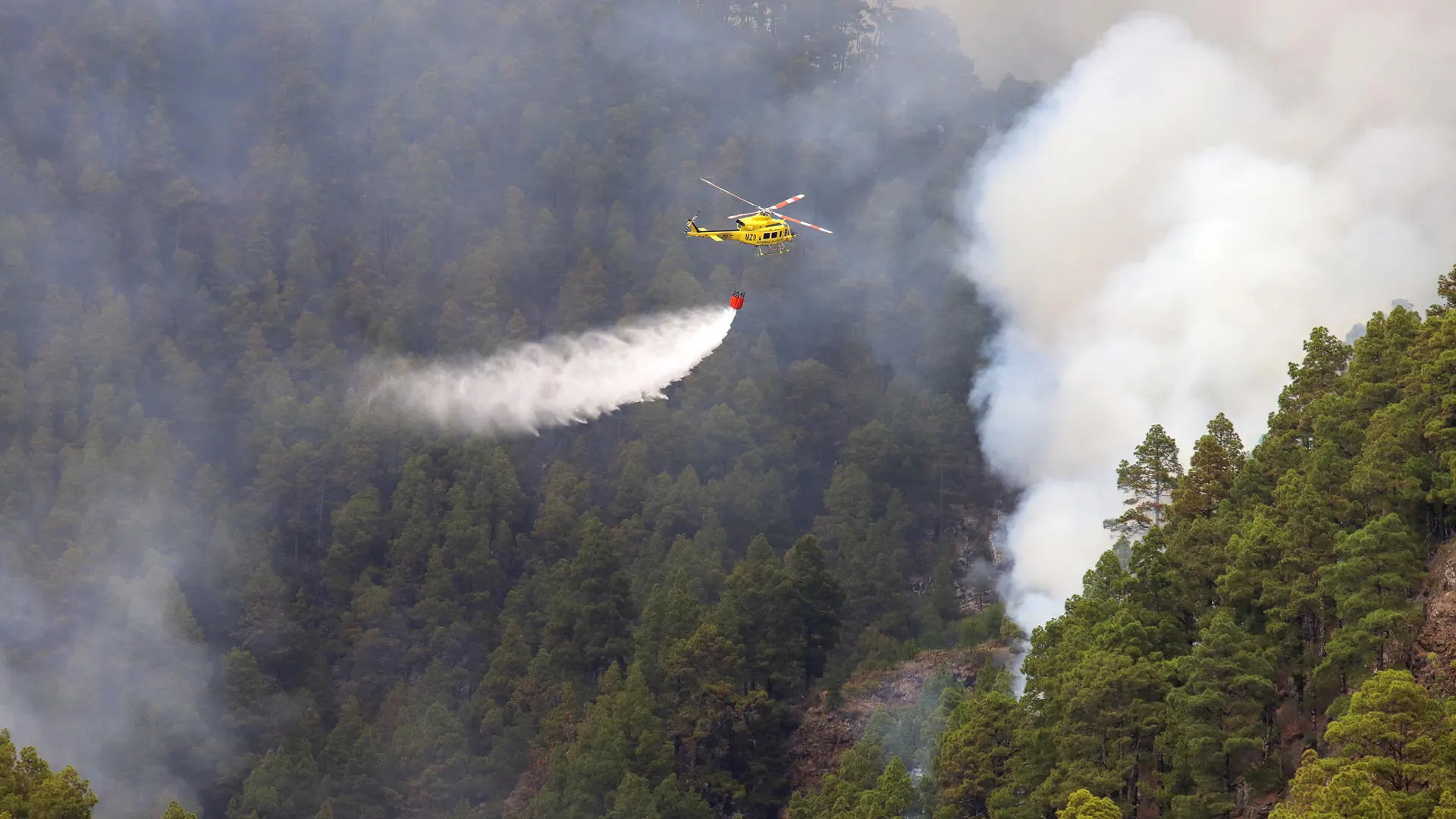 Una unidad a&eacute;rea en el incendio de La Palma